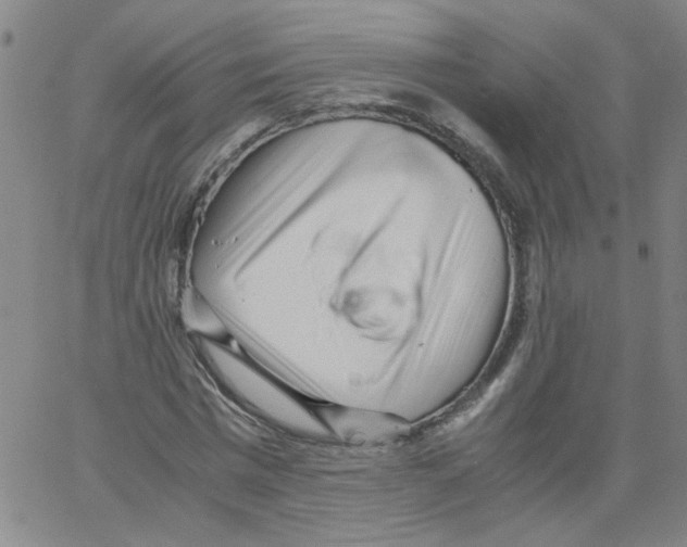 X0000066100777200604071821