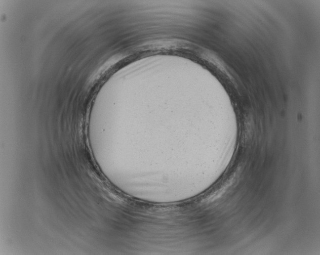 X0000066100778200604071821