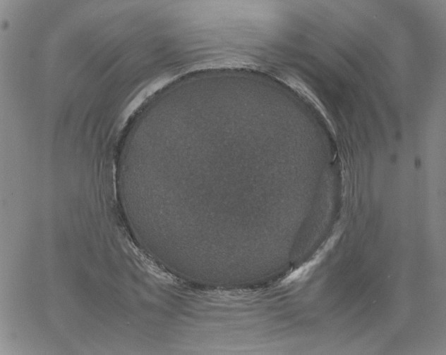 X0000066100781200604071821