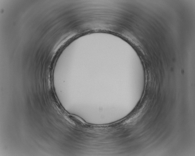 X0000066100782200604071821