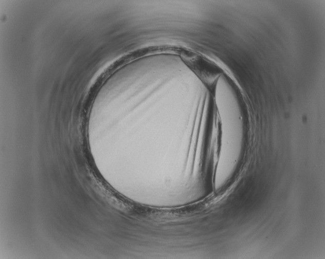 X0000066100783200604071821