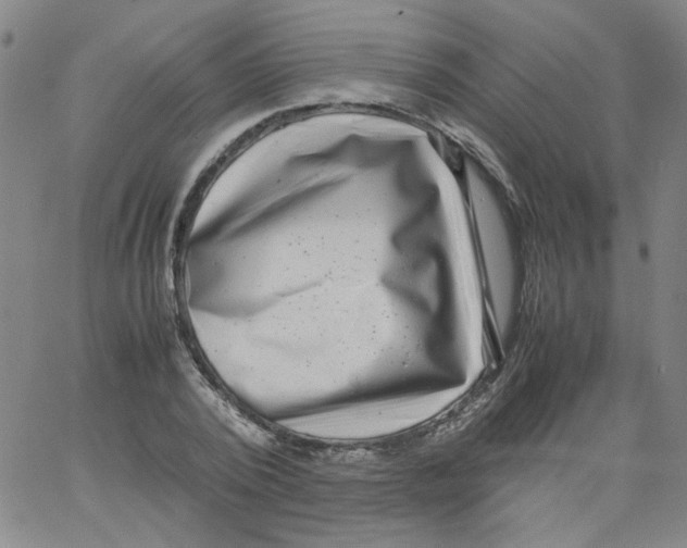 X0000066100784200604071821