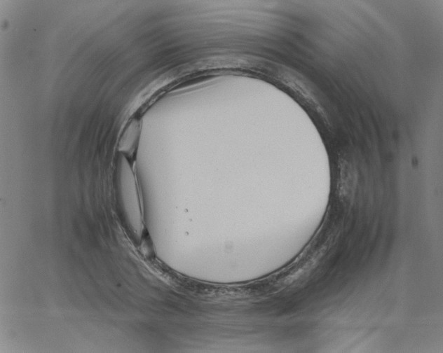 X0000066100786200604071821