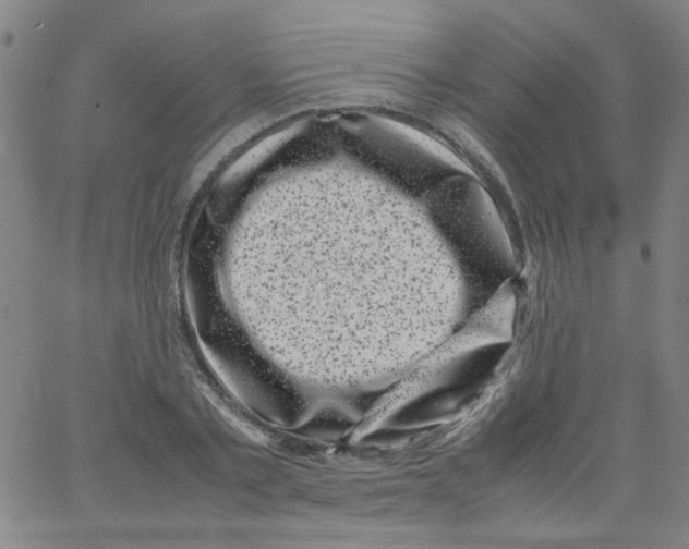 X0000066100789200604071821