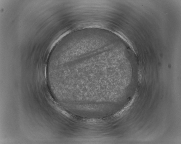 X0000066100790200604071821