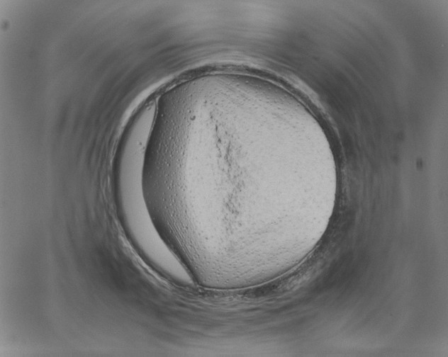 X0000066100791200604071821