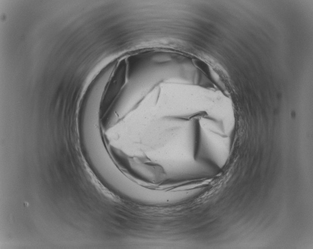 X0000066100792200604071821