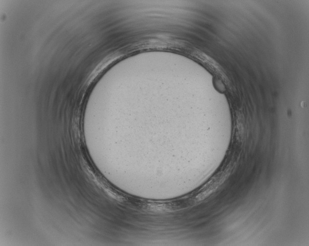 X0000066100794200604071821