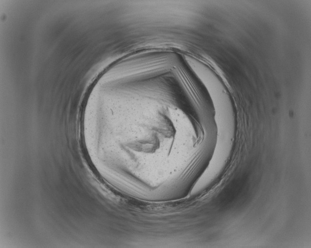 X0000066100795200604071821