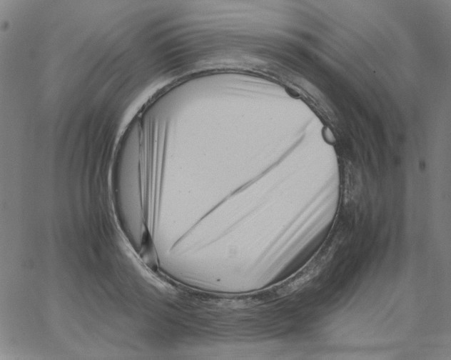 X0000066100796200604071821