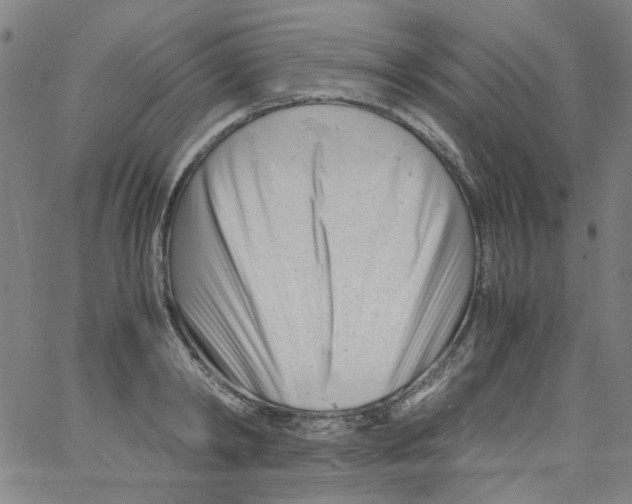 X0000066100798200604071821