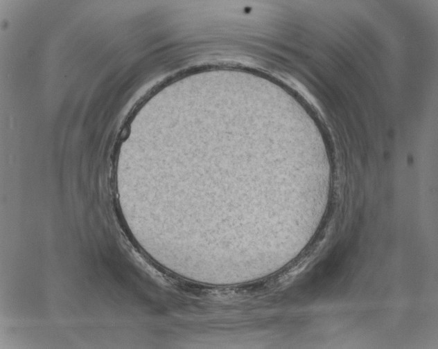 X0000066100799200604071821