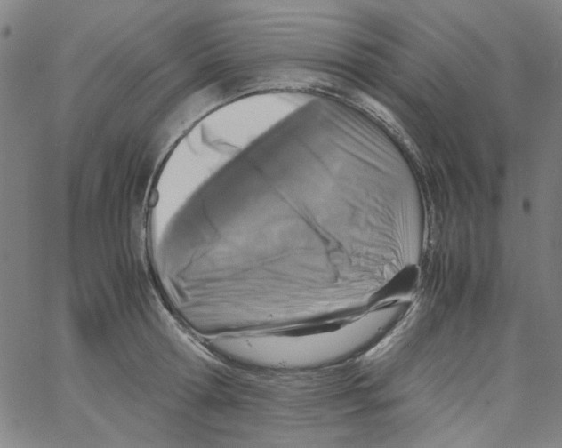 X0000066100802200604071821