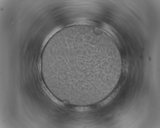 X0000066100804200604071821