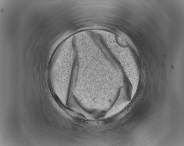 X0000066100805200604071821