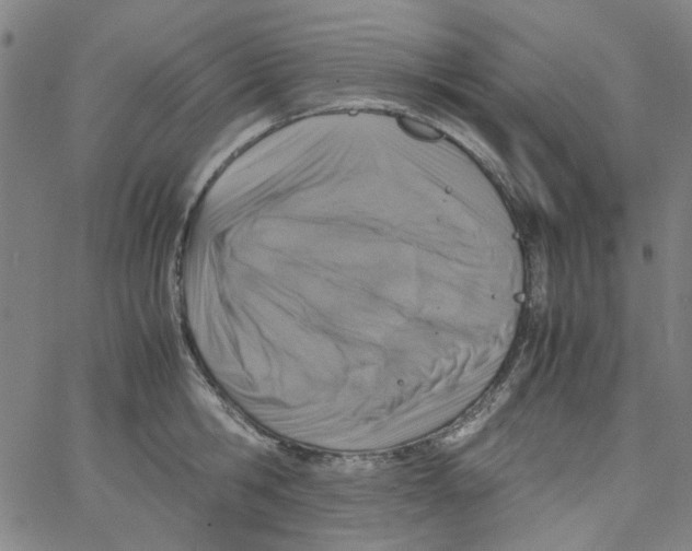 X0000066100806200604071821