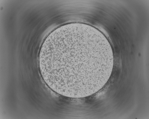 X0000066100807200604071821