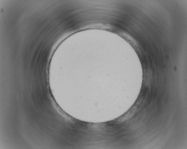 X0000066100808200604071821