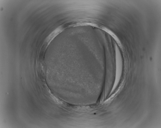 X0000066100809200604071821