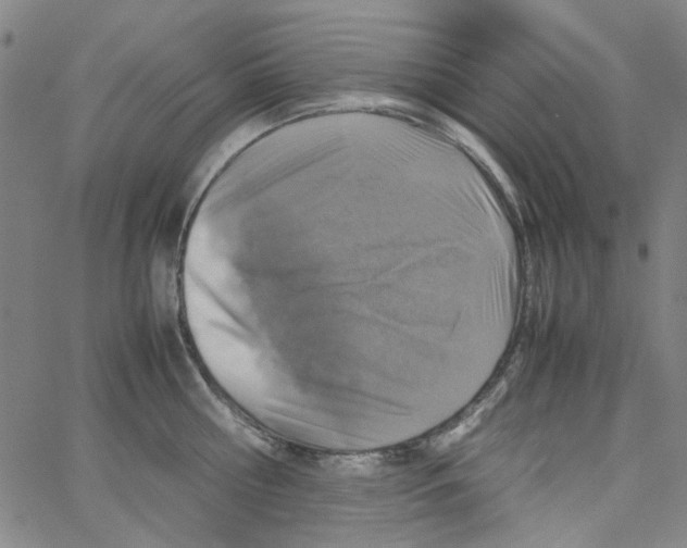 X0000066100810200604071821