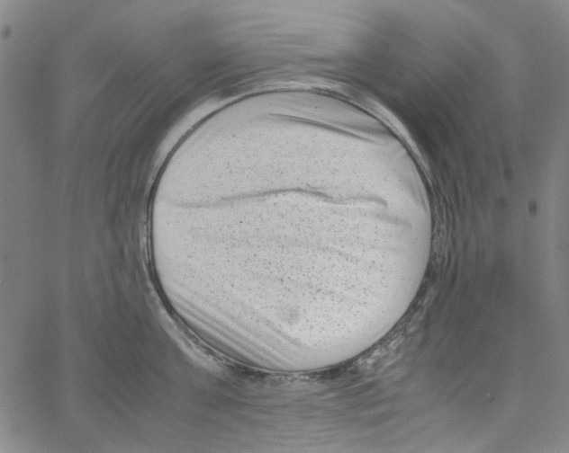 X0000066100811200604071821