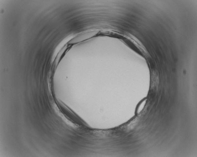 X0000066100812200604071821