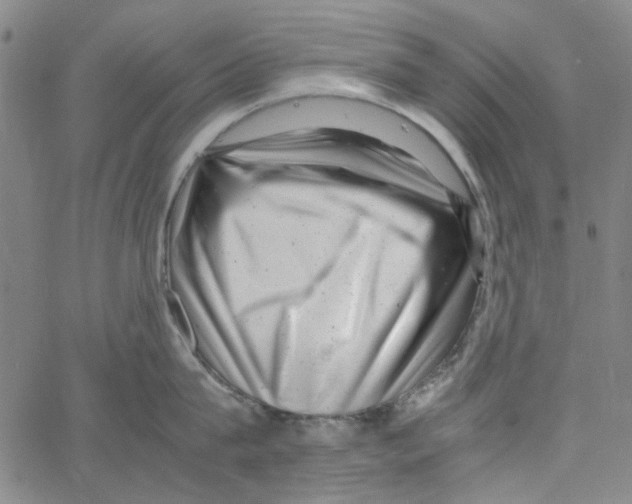 X0000066100815200604071821