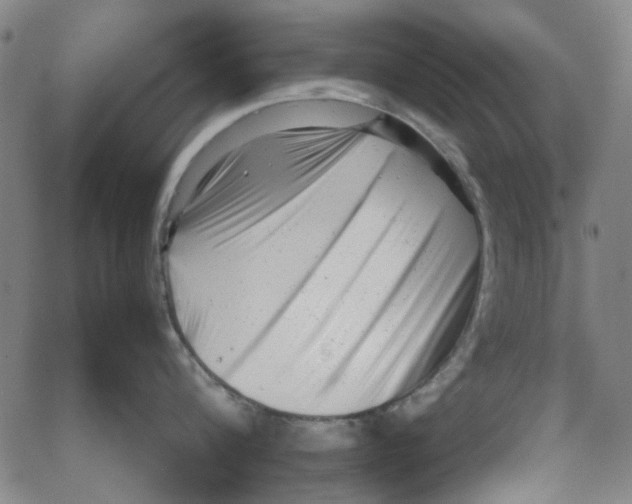 X0000066100816200604071821