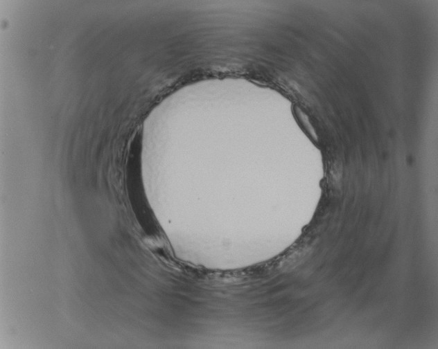 X0000066100817200604071820