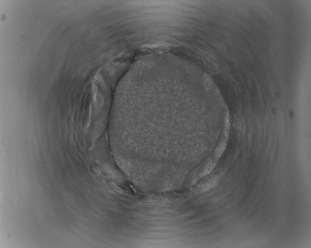 X0000066100818200604071820