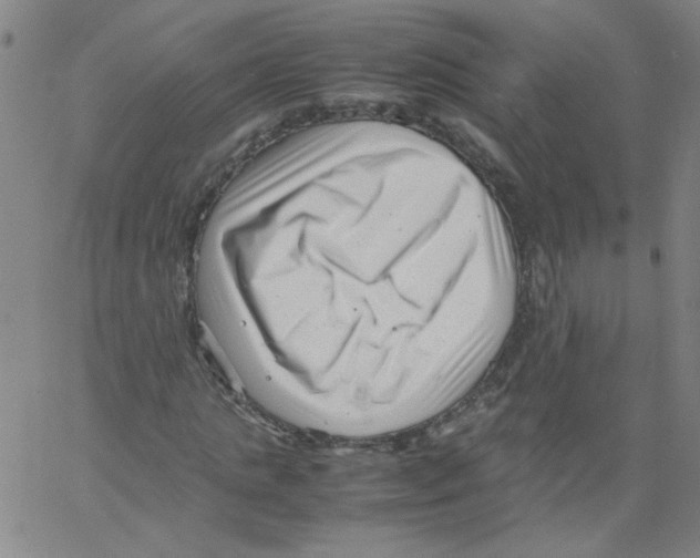 X0000066100821200604071820