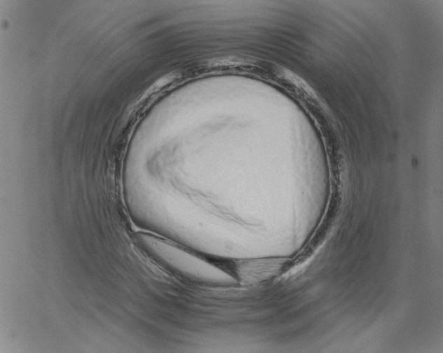 X0000066100825200604071820