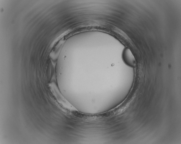 X0000066100826200604071820