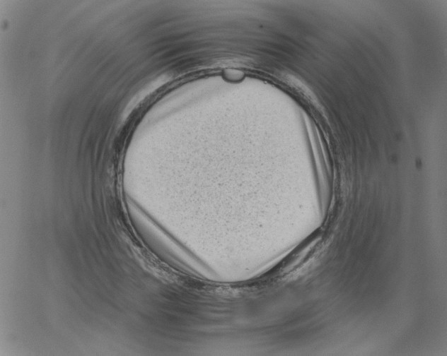 X0000066100827200604071820