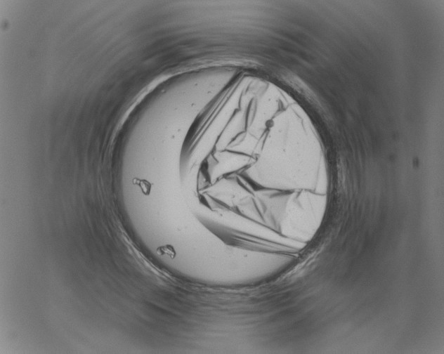 X0000066100828200604071820