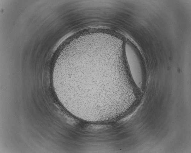 X0000066100829200604071820