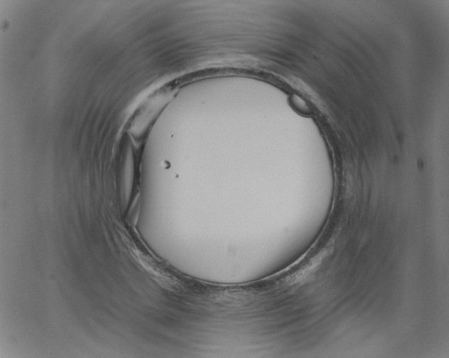 X0000066100830200604071820