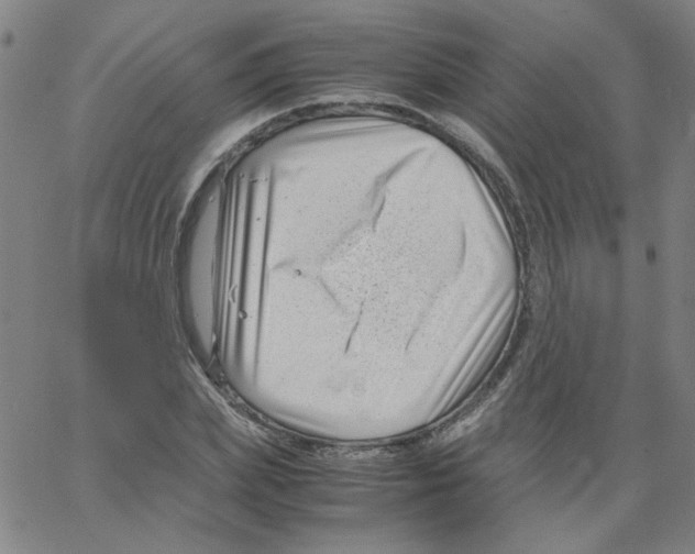 X0000066100831200604071820