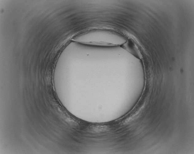 X0000066100833200604071820