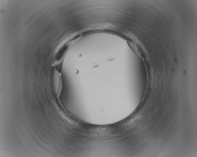 X0000066100834200604071820