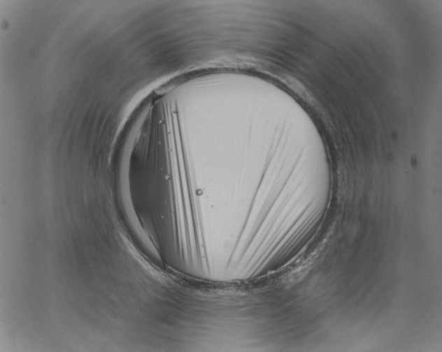 X0000066100838200604071820