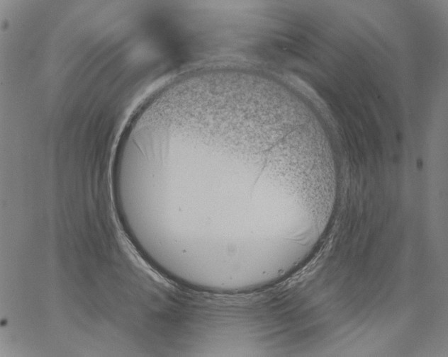 X0000066100840200604071820