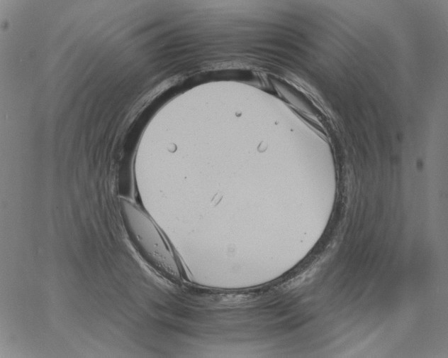 X0000066100841200604071820