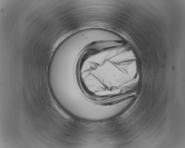 X0000066100842200604071820