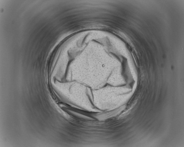 X0000066100843200604071820