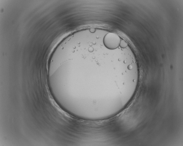 X0000066100844200604071820