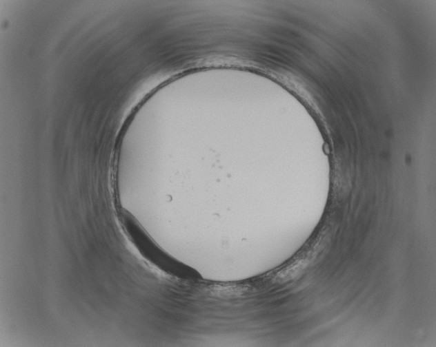 X0000066100847200604071820