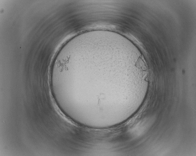 X0000066100848200604071820