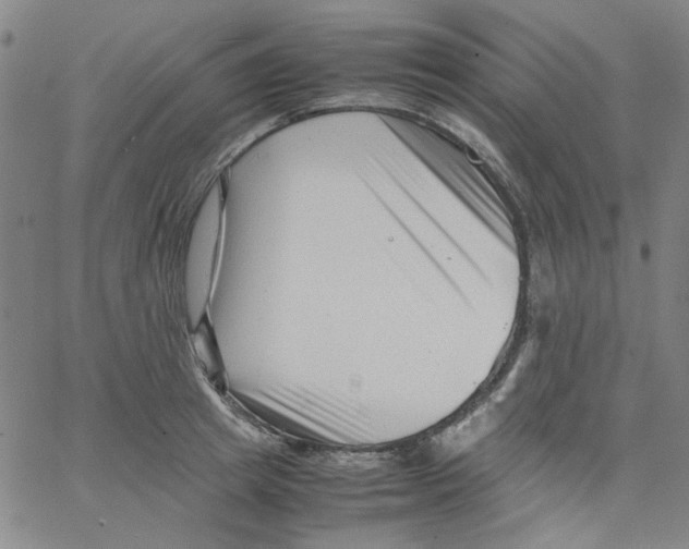 X0000066100849200604071820