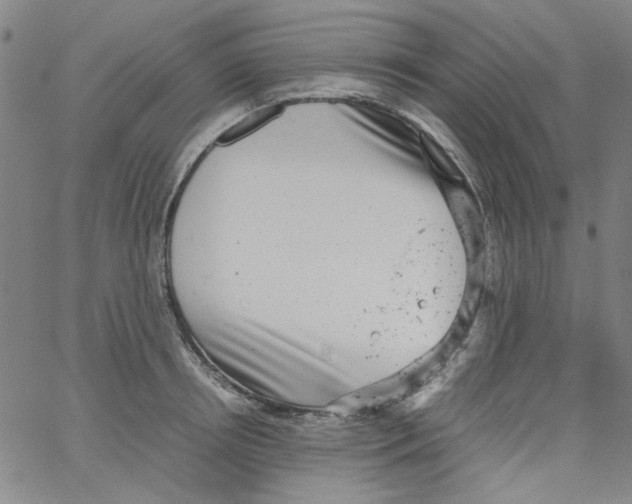 X0000066100850200604071820